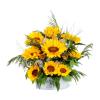 Sunflowers Feel Better